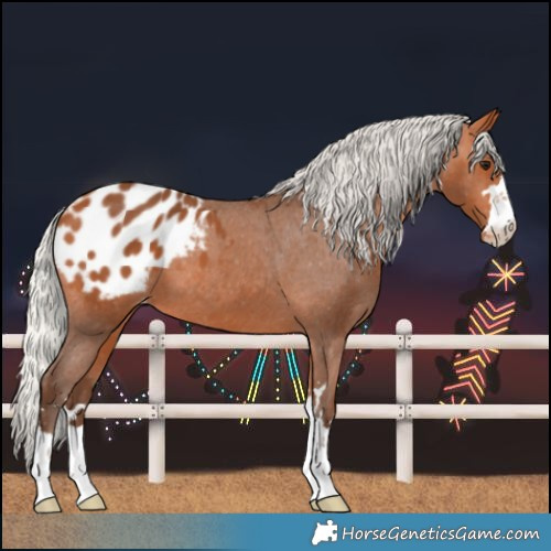 Horse Color:Silver Bay Blanket 