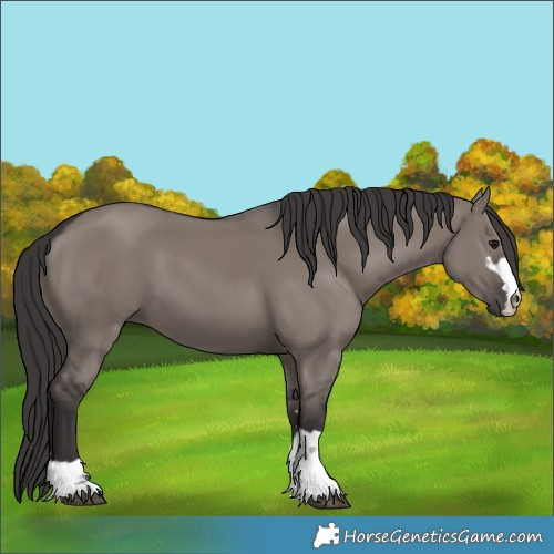 Horse Color:Smoky Grullo 
