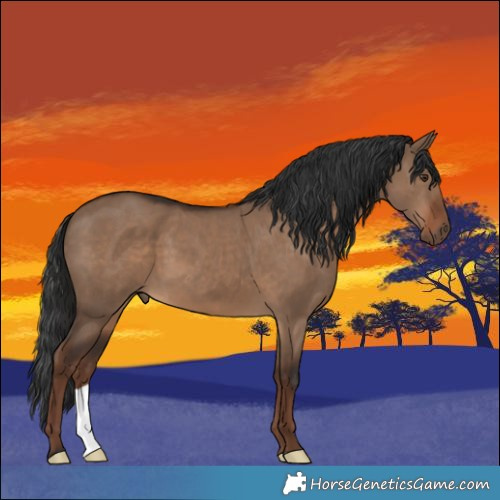 Horse Color:Liver Red Dun 