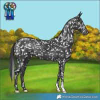Horse Color:Black Snowflake Varnish 