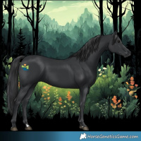 Horse Color:Black 