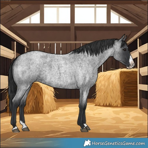 Horse Color:Blue Roan Splash 