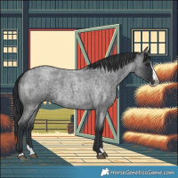 Horse Color:Blue Roan Splash 