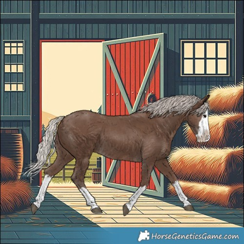 Horse Color:Silver Black Splash