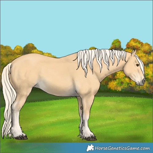 Horse Color:Palomino 