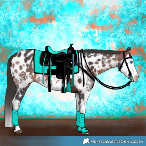 Horse Color:Brown Sabino Splash Near Leopard  and Brown Sabino Splash Near Leopard 
