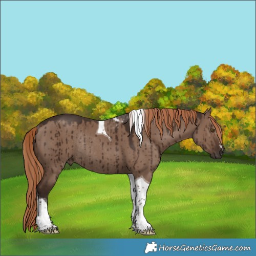 Horse Color:Liver Red Dun Tobiano Rabicano Brindle 