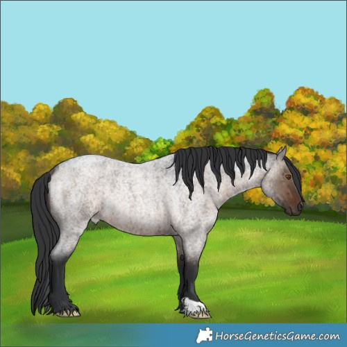 Horse Color:Brown Roan Dun Rabicano Brindle 