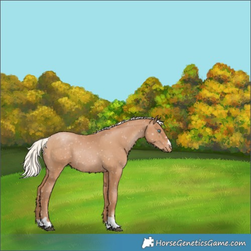 Horse Color:Silver Black Pearl Snowflake VarnishRabicano 