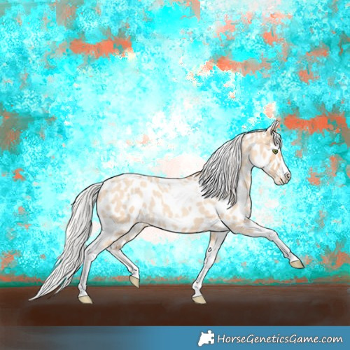 Horse Color:Silver Amber Champagne Roan Dun Splash Tobiano Frame Near Leopard Rabicano 