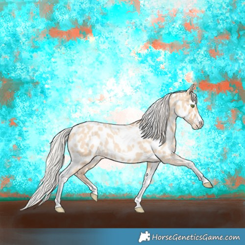 Horse Color:Silver Amber Champagne Roan Dun Splash Tobiano Frame Appaloosa Rabicano 