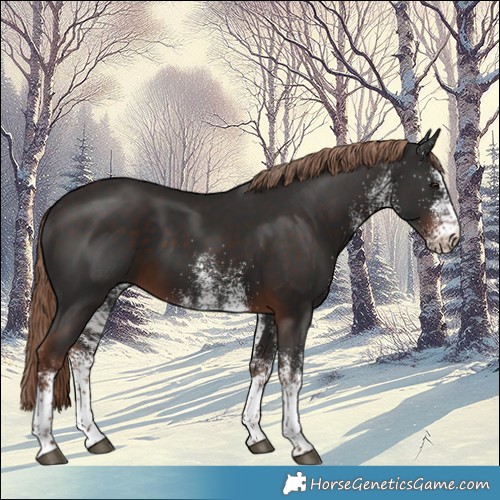 Horse Color:White Spotted Liver Chestnut 