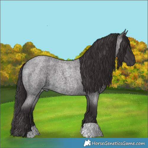 Horse Color:Smoky Blue Roan