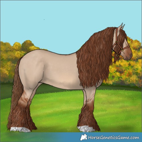Horse Color:Red Dun 