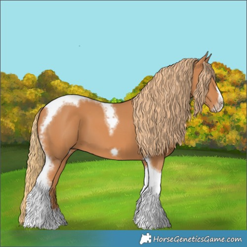 Horse Color:Chestnut Tobiano Frame 