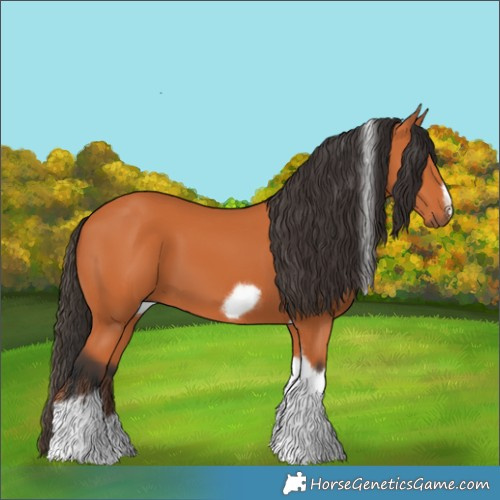 Horse Color:Bay Tobiano Frame 