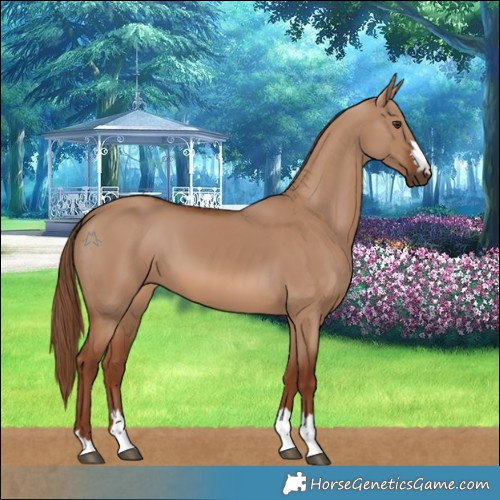 Horse Color:Red Dun 