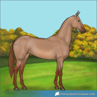 Horse Color:Red Dun