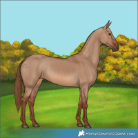 Horse Color:Red Dun 