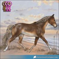 Horse Color:Chocolate Palomino Rabicano