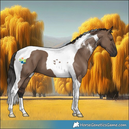 Horse Color:Liver Red Dun Tobiano 