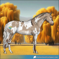 Horse Color:White Spotted Liver Red Dun 