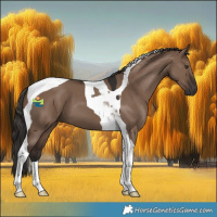 Horse Color:Liver Red Dun Tobiano