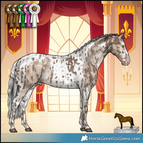Horse Color:White Spotted Liver Red Dun Appaloosa  and White Spotted Silver Brown Dun Tobiano Appaloosa 