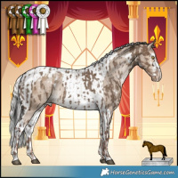 Horse Color:White Spotted Liver Red Dun Appaloosa  and White Spotted Silver Brown Dun Tobiano Appaloosa 