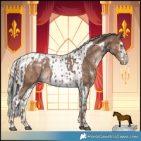 Horse Color:White Spotted Liver Red Dun Appaloosa  and White Spotted Silver Brown Dun Tobiano Appaloosa 