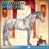 Horse Color:White Spotted Liver Red Dun Appaloosa  and White Spotted Silver Brown Dun Tobiano Appaloosa 