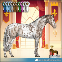 Horse Color:White Spotted Liver Red Dun Appaloosa and White Spotted Silver Brown Dun Tobiano Appaloosa