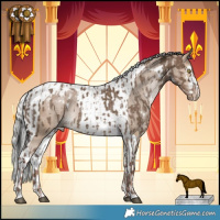 Horse Color:White Spotted Liver Red Dun Appaloosa and White Spotted Silver Brown Dun Tobiano Appaloosa