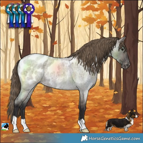 Horse Color:Smoky Grullo Roan Blanket 