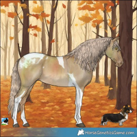 Horse Color:Chocolate Palomino Dun Tobiano Varnish 