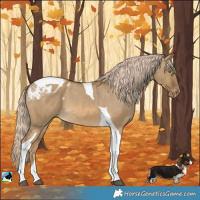 Horse Color:Chocolate Palomino Dun Tobiano Blanket