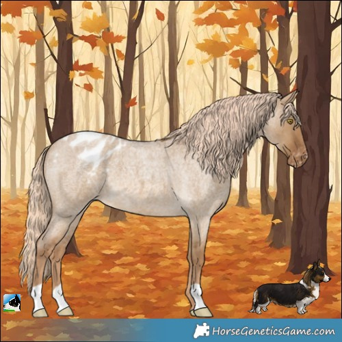 Horse Color:Chocolate Palomino Roan Dun Blanket 