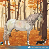 Horse Color:Chocolate Palomino Roan Dun Varnish