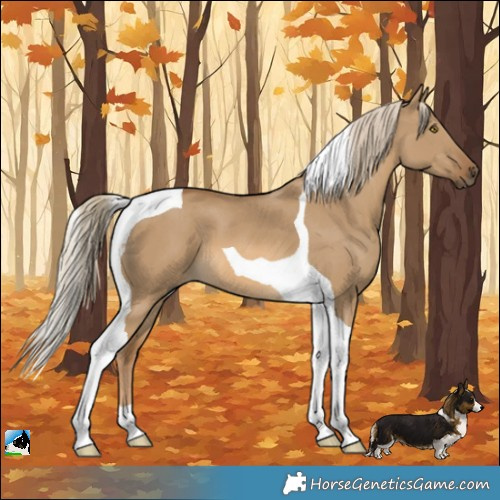 Horse Color:Chocolate Palomino Dun Tobiano 