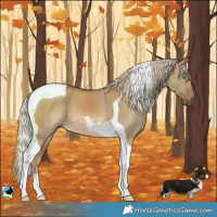 Horse Color:Chocolate Palomino Dun Tobiano 