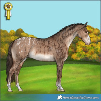 Horse Color:Liver Chestnut Snowcap and Liver Red Dun Varnish