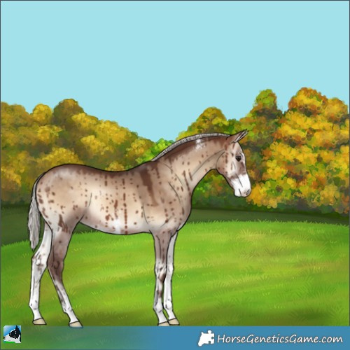 Horse Color:Silver Brown Onyx Sabino Brindle 