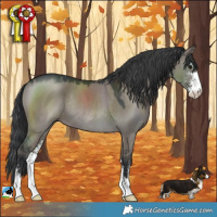 Horse Color:Grullo Mushroom Sabino Rabicano 