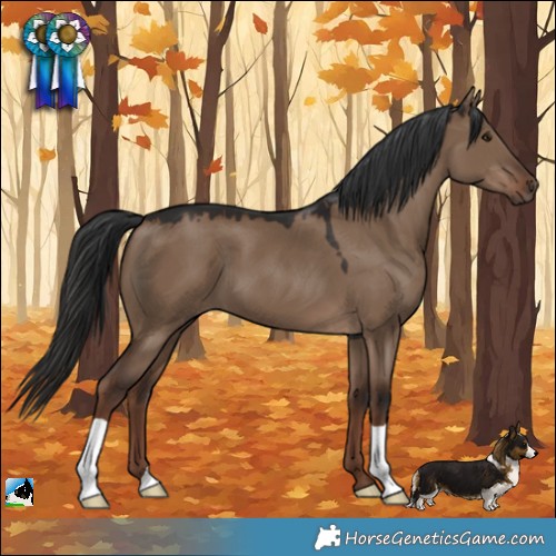 Horse Color:Liver Red Dun