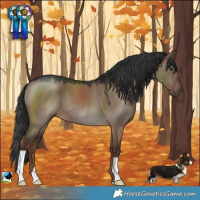 Horse Color:Liver Red Dun 