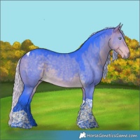 Horse Color:Gray Watercolor Silver Buckskin Dun Tobiano Appaloosa Rabicano