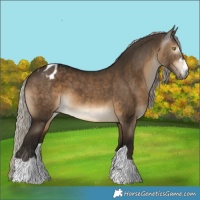Horse Color:Gray Silver Brown Dun Blanket 