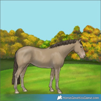 Horse Color:Classic Cream Champagne 