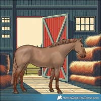 Horse Color:Red Dun
