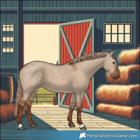 Horse Color:Red Dun 